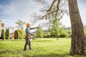 Best Pest Control for Lawns  in Shady Spring, WV